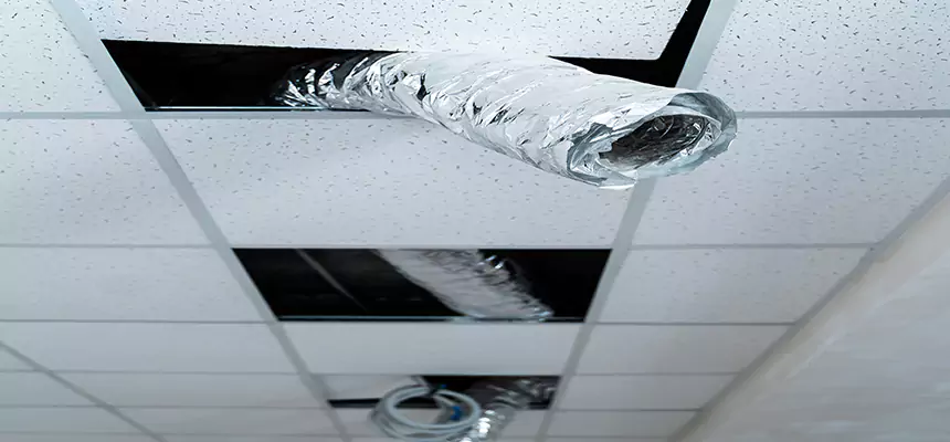 Our Air Duct Pet Hair Removal Services in McHenry, IL