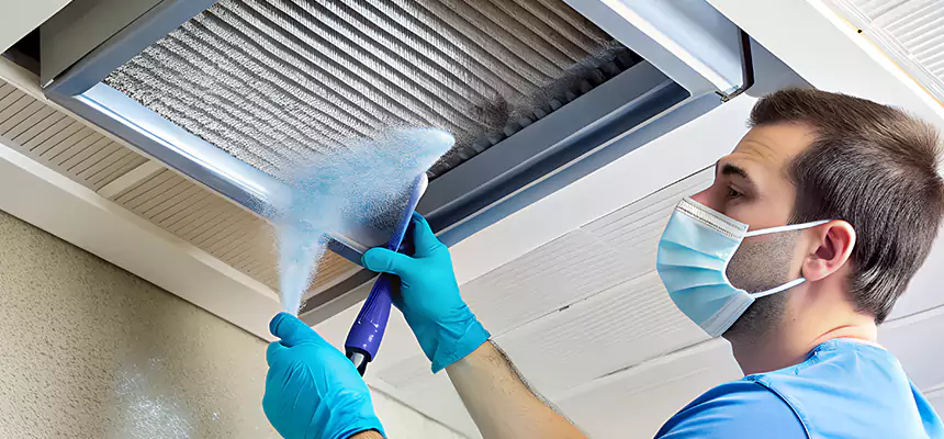 Proactive Dryer Vent & Auxiliary Duct Pollen Cleanup in McHenry, IL