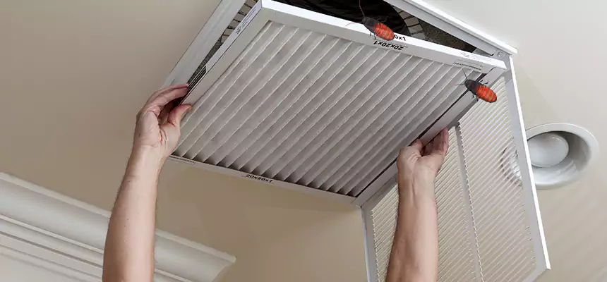 Our Insect Removal from Air Ducts Services in McHenry, IL