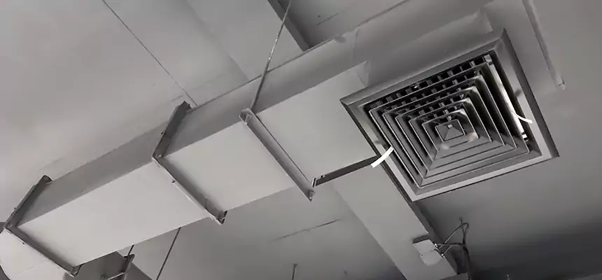 Our Pest Removal From Ducts Services in McHenry, IL