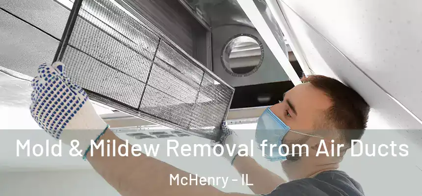  Mold & Mildew Removal from Air Ducts McHenry - IL