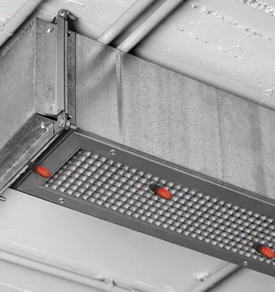 About Air Duct Cockroach Removal in McHenry, IL