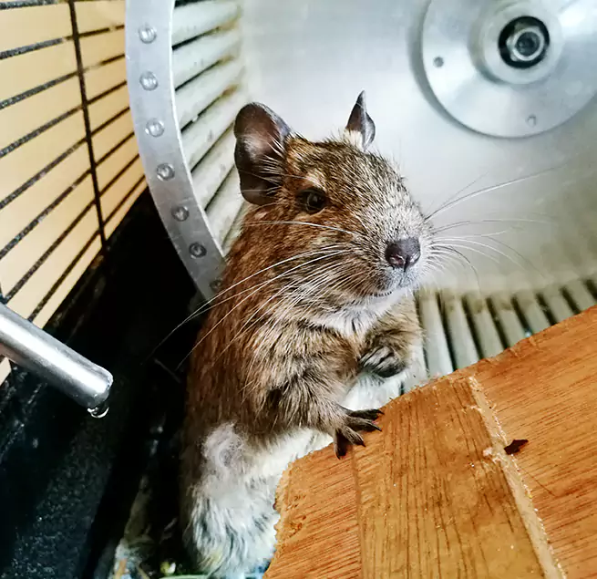 Why Homeowners & Businesses Trust Us McHenry, IL